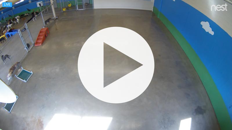 Floor 1 Live Web Cam
