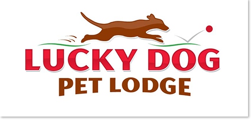 lucky dog main logo